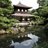 記事のイメージ画像